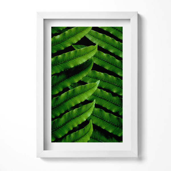 Obraz s rámem elegantní Detailní záběr na zelené listy