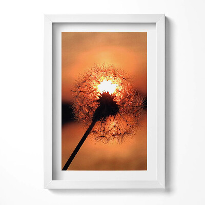 Obraz s rámem elegantní Pampeliška při západu slunce