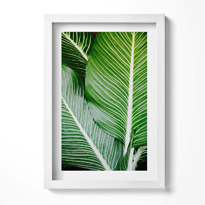 Obraz s rámem elegantní Exotické zelené listy