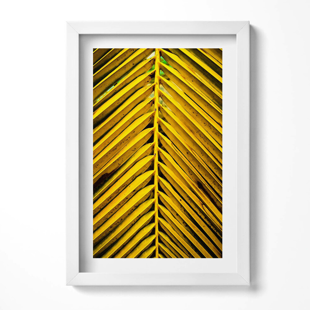 Obraz s rámem elegantní Zlaté listy rostliny