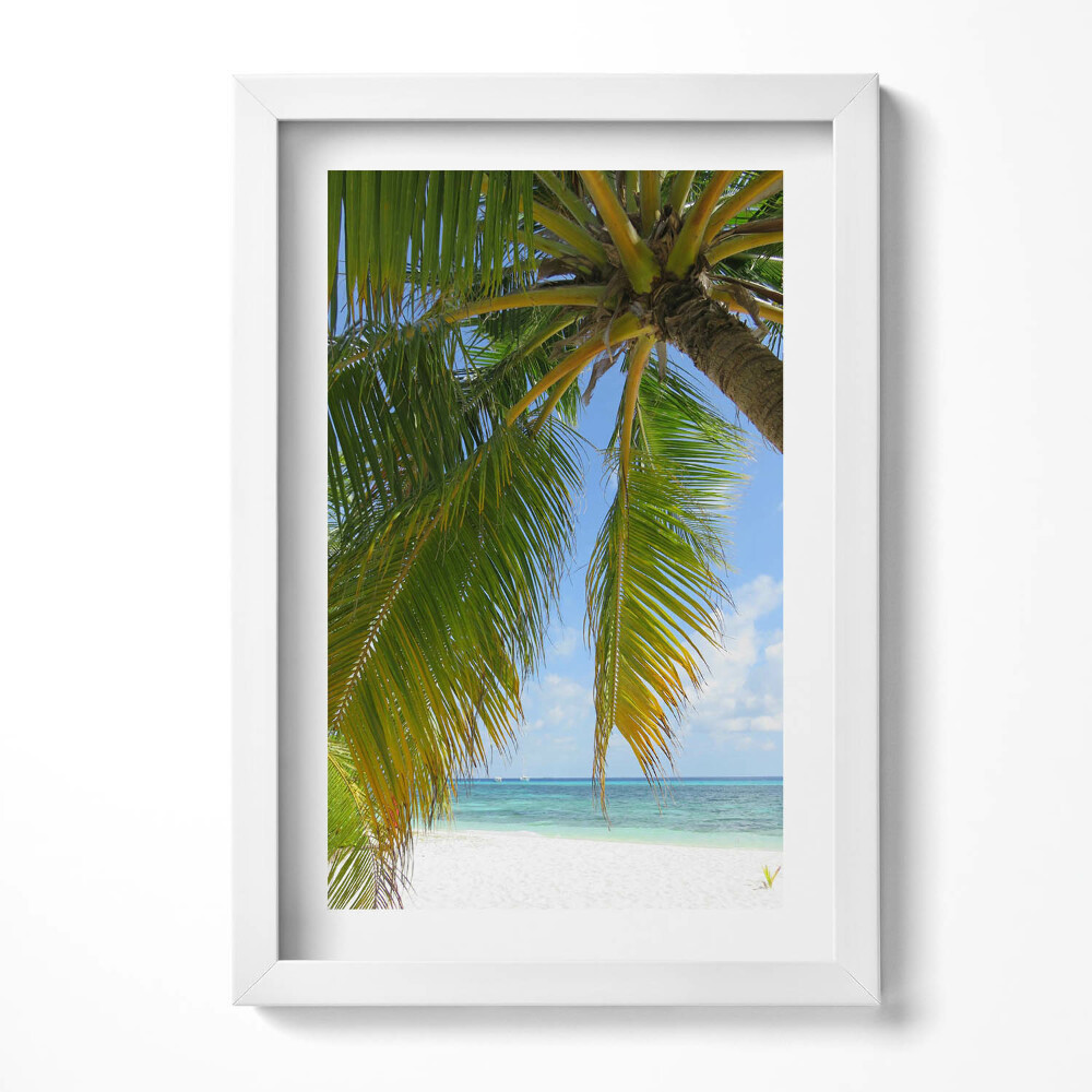 Obraz s rámem elegantní Pláž palmový oceán dovolená