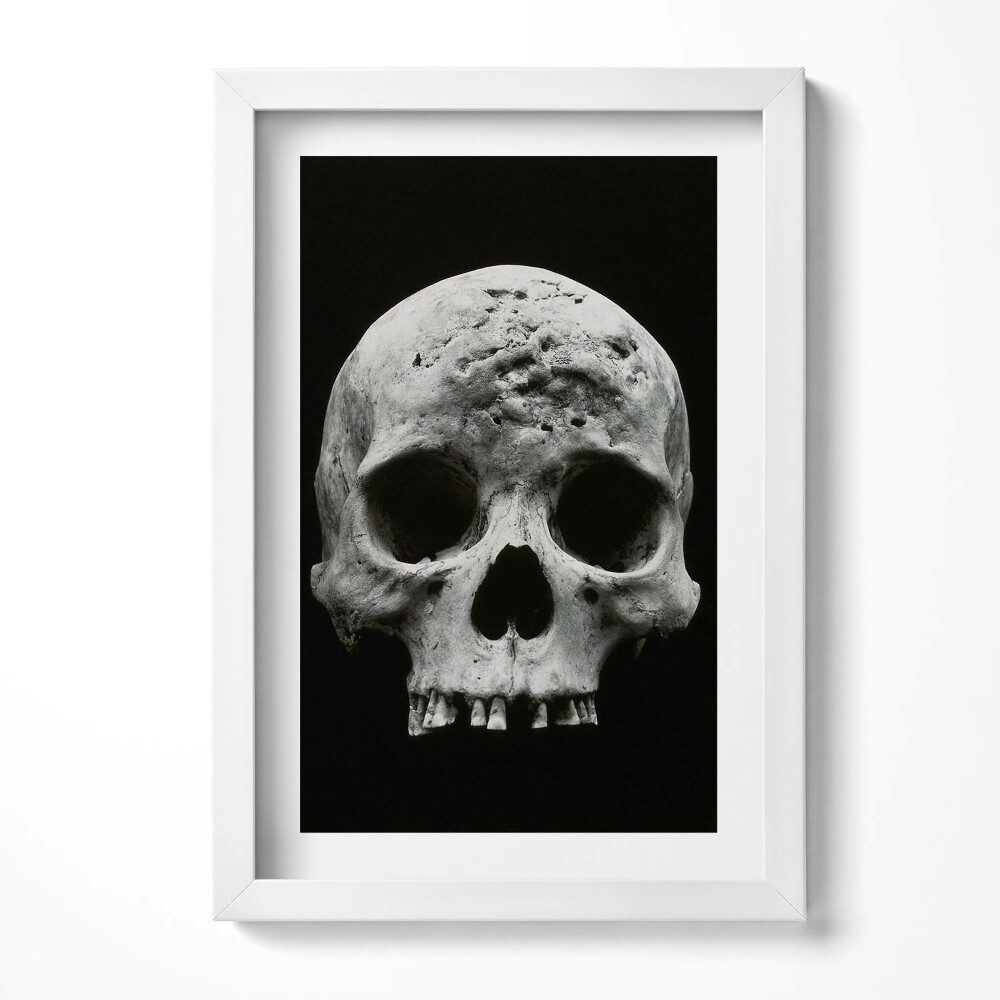 Obraz s rámem elegantní Kostra lidské lebky