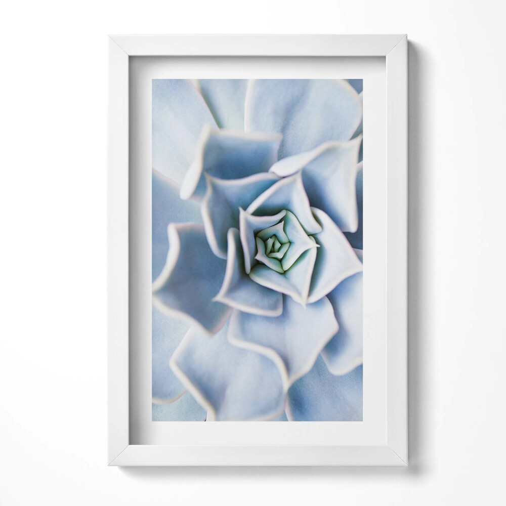 Obraz s rámem elegantní Květinová rostlina