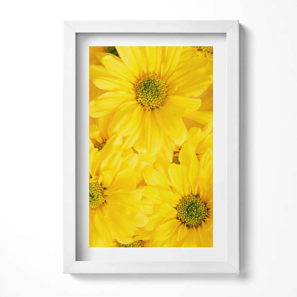 Obraz s rámem elegantní Okvětní lístky