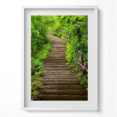 Obraz v rámu dekorativní Schody uprostřed lesa