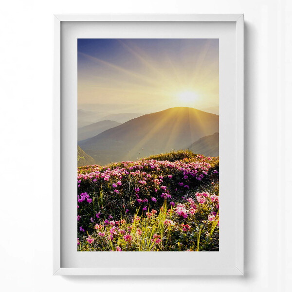 Obraz v rámu dekorativní Hory a květinová louka