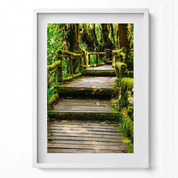 Obraz v rámu dekorativní Dřevěný chodník - agroturistika