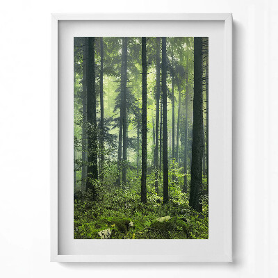 Obraz v rámu dekorativní Krajina stromů a lesní vegetace
