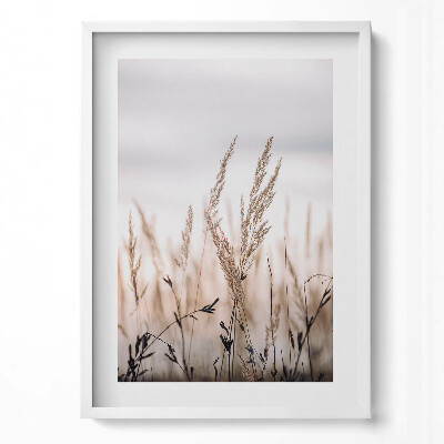 Obraz v rámu dekorativní Přírodní tráva boho styl