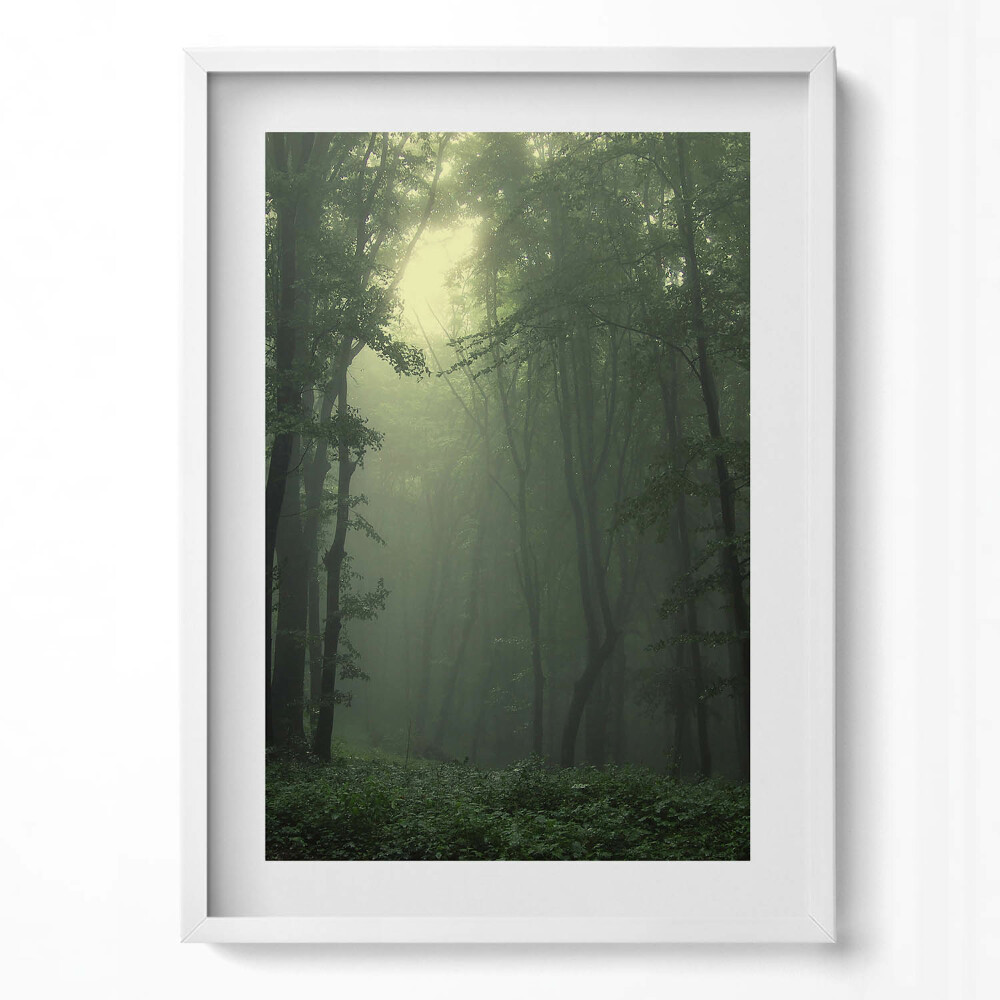 Obraz v rámu dekorativní Mlžný les ráno
