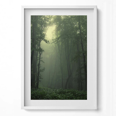 Obraz v rámu dekorativní Mlžný les ráno