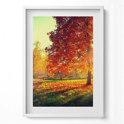 Obraz v rámu dekorativní Podzimní park