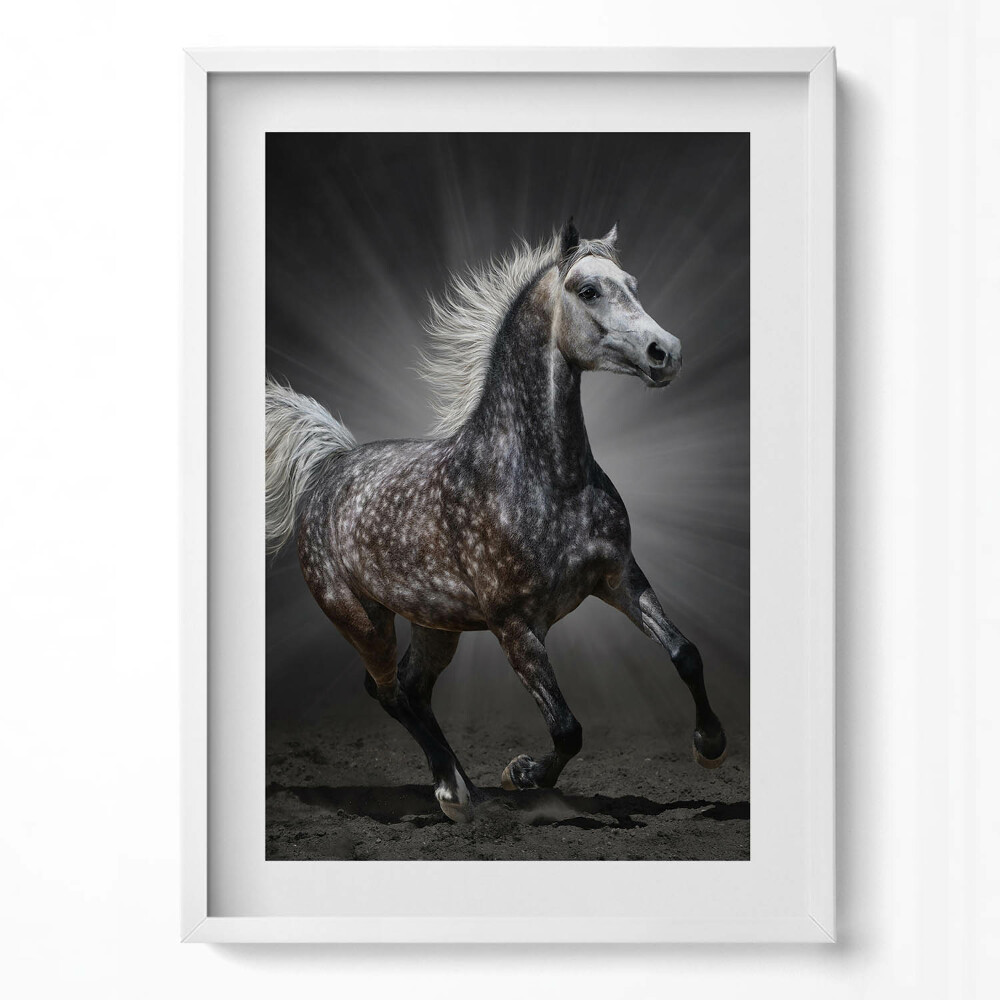 Obraz v rámu dekorativní Cválající kůň
