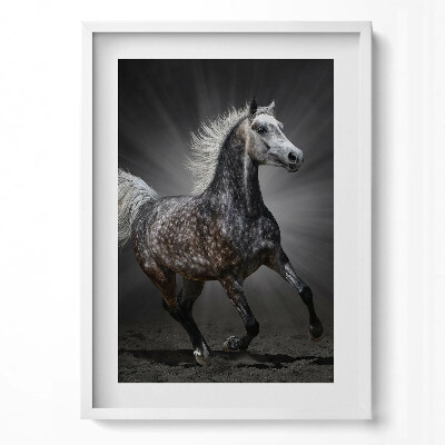 Obraz v rámu dekorativní Cválající kůň