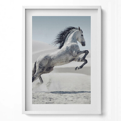 Obraz v rámu dekorativní Cválající bílý kůň