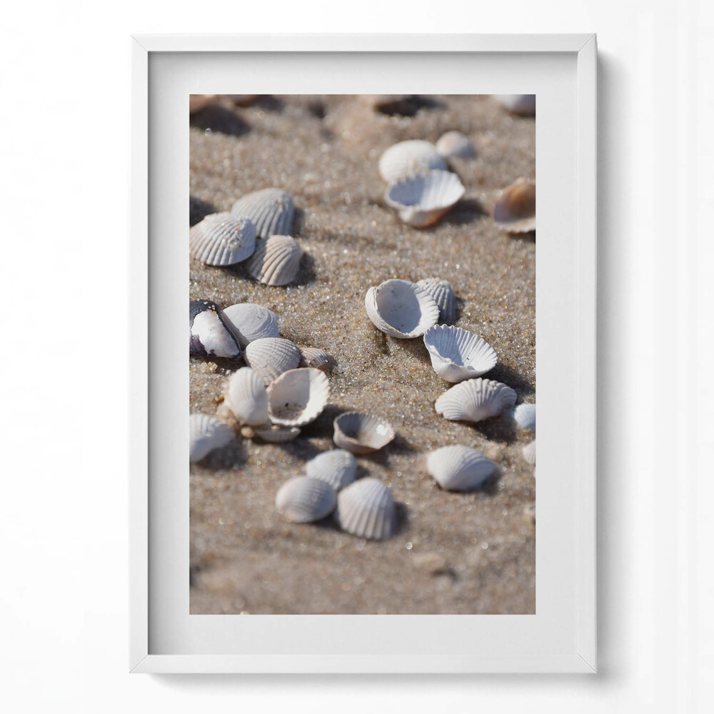 Obraz v rámu dekorativní Mušle na pláži