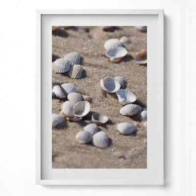 Obraz v rámu dekorativní Mušle na pláži