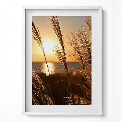 Obraz v rámu dekorativní Pšenice ve Zlaté hodině