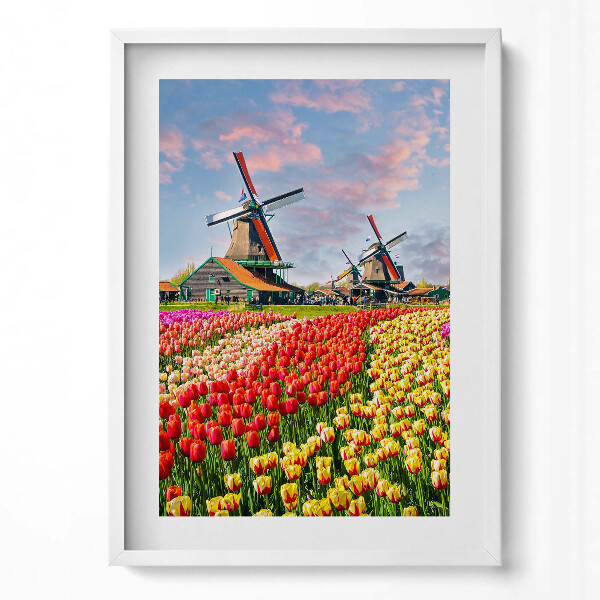 Obraz v rámu dekorativní Krajina s tulipány Nizozemsko
