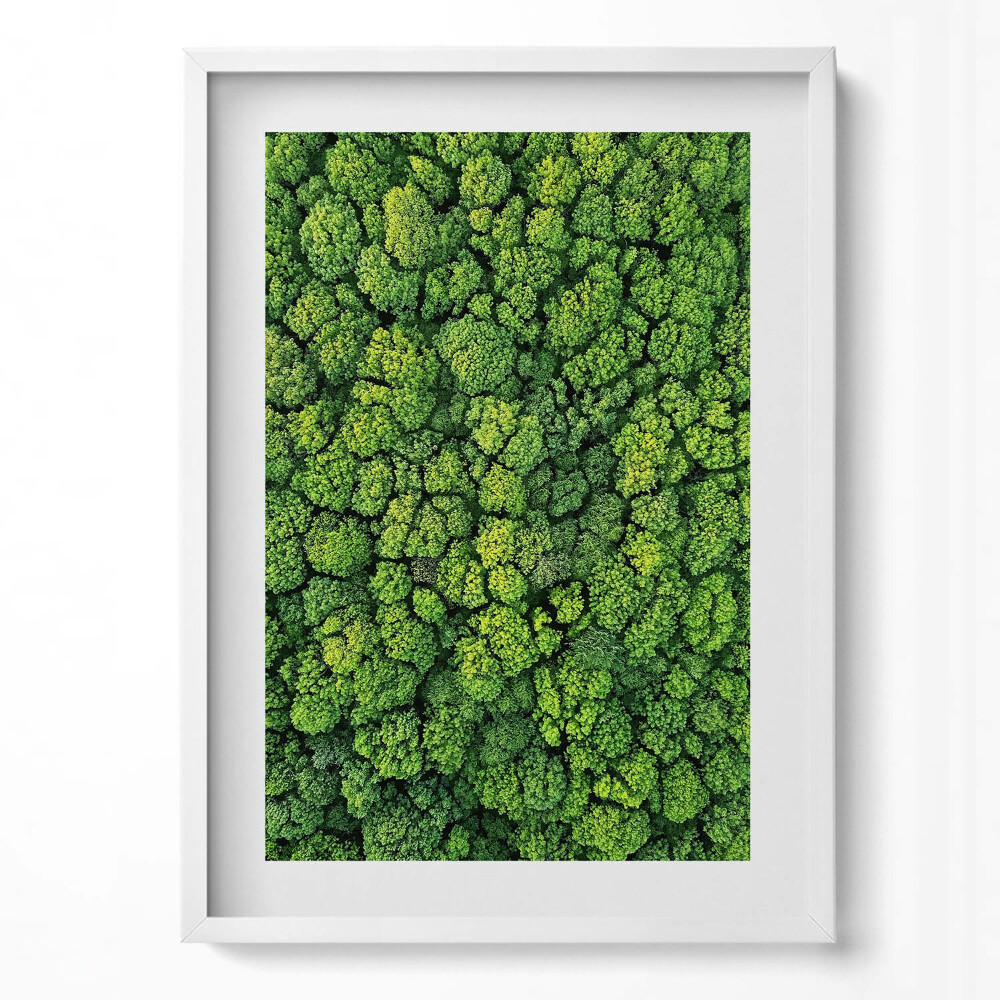 Obraz v rámu dekorativní Les z ptačí perspektivy