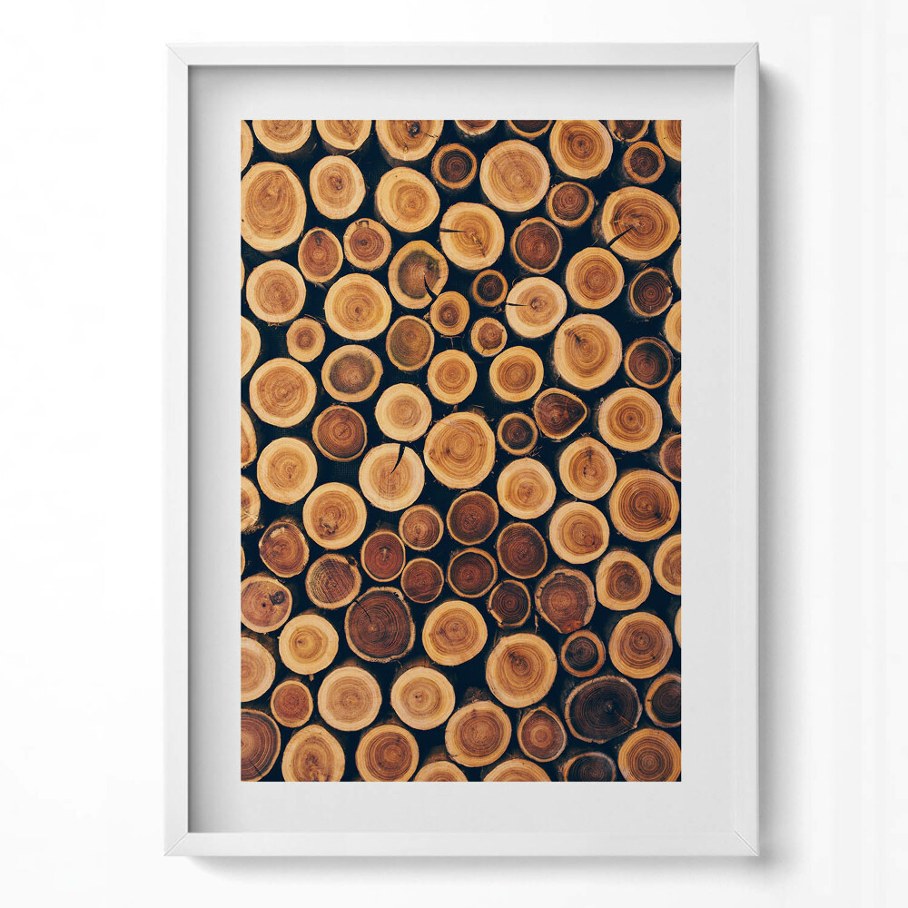 Obraz v rámu dekorativní Dřevěné pařezy