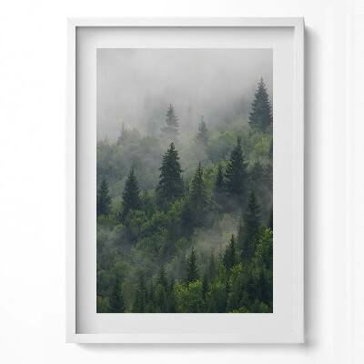Obraz v rámu dekorativní Lesní krajina v mlze