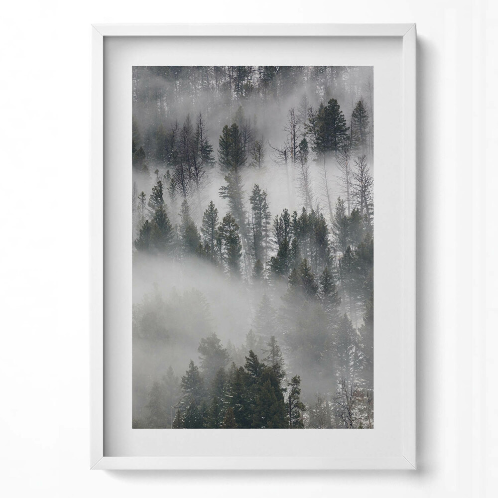 Obraz v rámu dekorativní Zamlžená lesní krajina