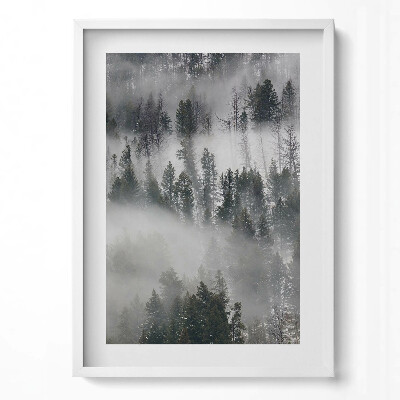 Obraz v rámu dekorativní Zamlžená lesní krajina
