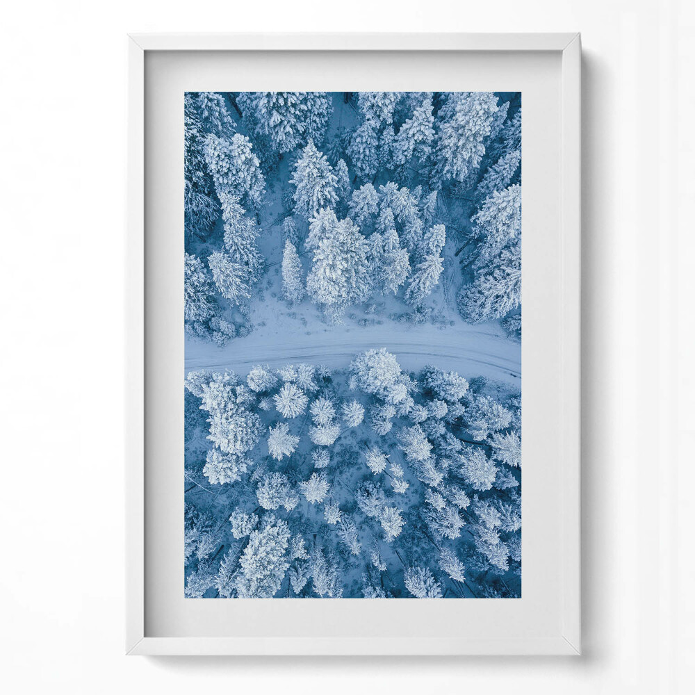 Obraz v rámu dekorativní Les z ptačí perspektivy