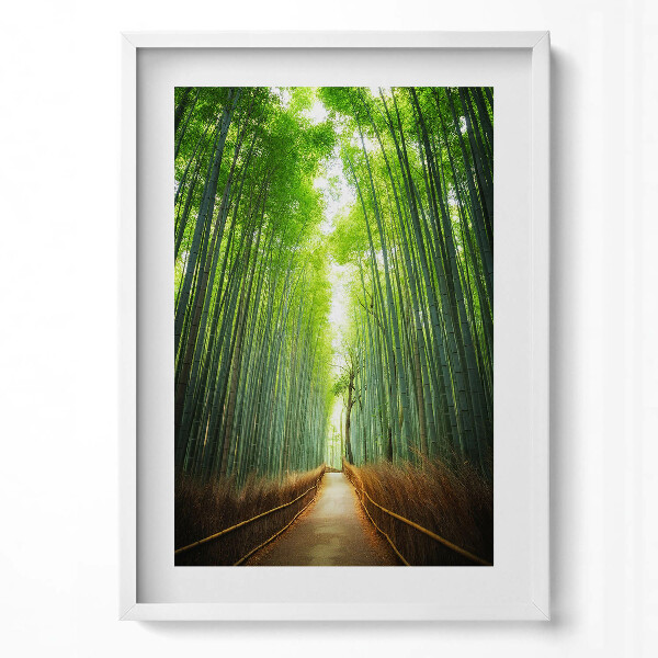 Obraz v rámu dekorativní Bambusový les Arashiyama Kjóto Japonsko