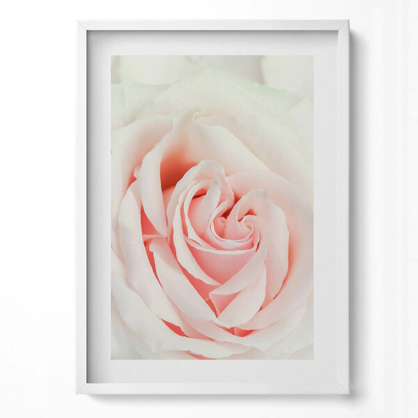 Obraz v rámu dekorativní Detail růžových lístků