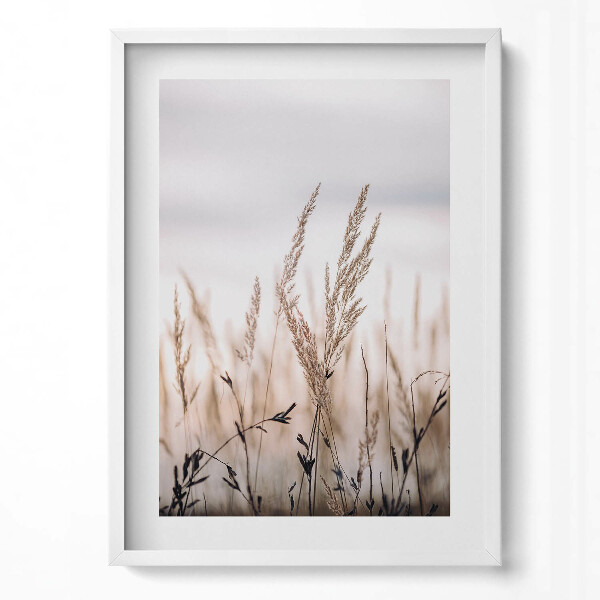 Obraz v rámu dekorativní Boho romantická krajina jemných travin