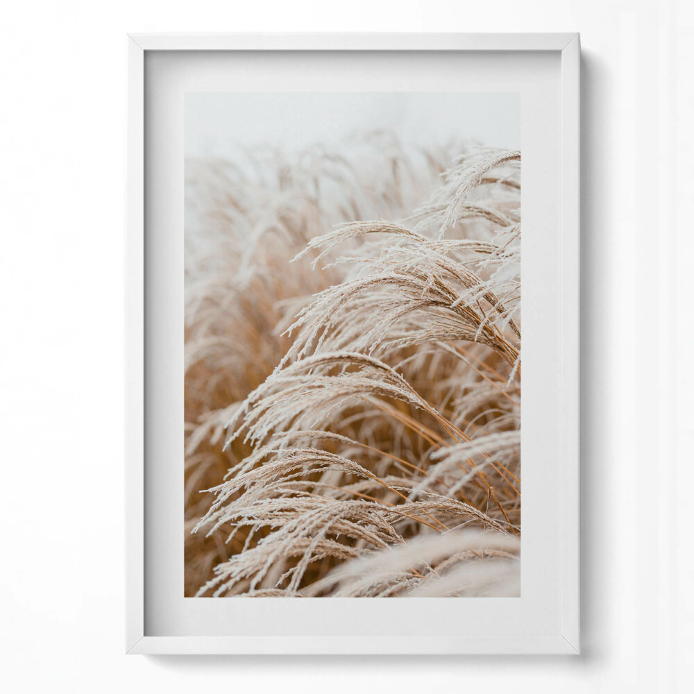 Obraz v rámu dekorativní Jemné trávy v boho stylu