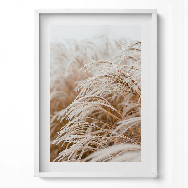Obraz v rámu dekorativní Jemné trávy v boho stylu