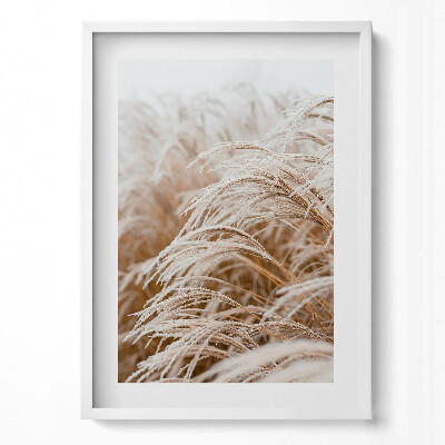 Obraz v rámu dekorativní Jemné trávy v boho stylu