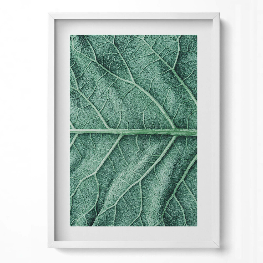 Obraz v rámu dekorativní Detail listových žil