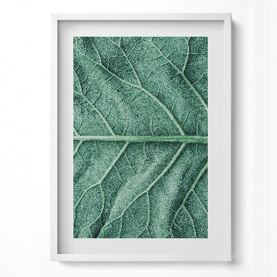 Obraz v rámu dekorativní Detail listových žil