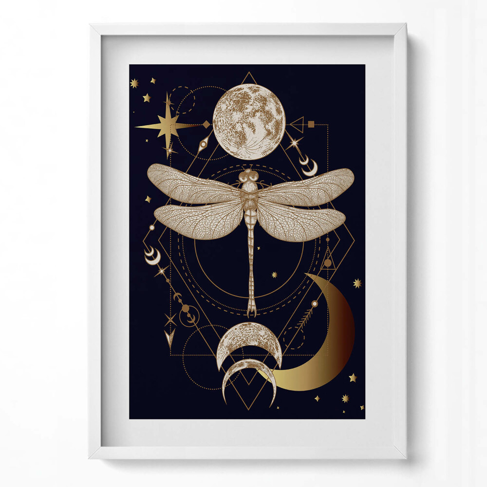 Obraz v rámu dekorativní Magická kompozice prostoru a vážky