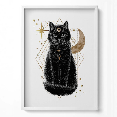 Obraz v rámu dekorativní Kouzelná černá kočka a prostor