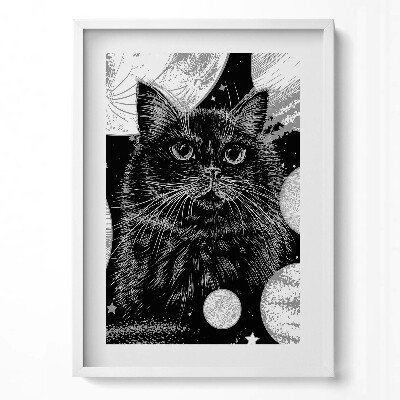 Obraz v rámu dekorativní Kouzelná černá kočka a prostor