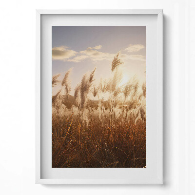 Obraz v rámu dekorativní Romantický západ slunce nad trávou