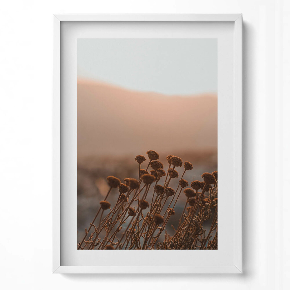 Obraz v rámu dekorativní Boho romantická tráva krajina