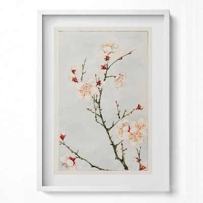 Obraz v rámu dekorativní Minimalistické ilustrace větví s květinami
