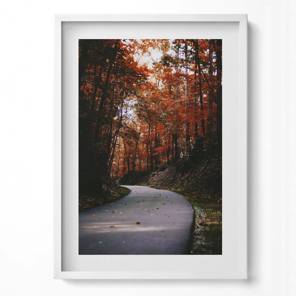 Obraz v rámu dekorativní Prázdná cesta v podzimním lese