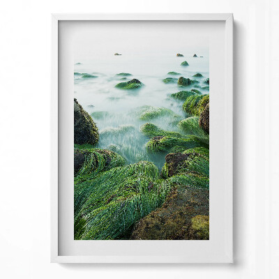 Obraz v rámu dekorativní Tráva na břehu řeky