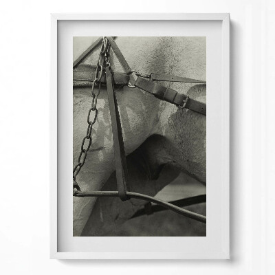 Obraz v rámu dekorativní Detailní záběr na koňský postroj