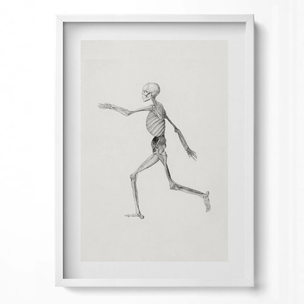 Obraz v rámu dekorativní Kresba kostry