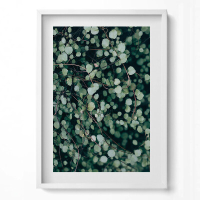 Obraz v rámu dekorativní Drobné listy rostliny