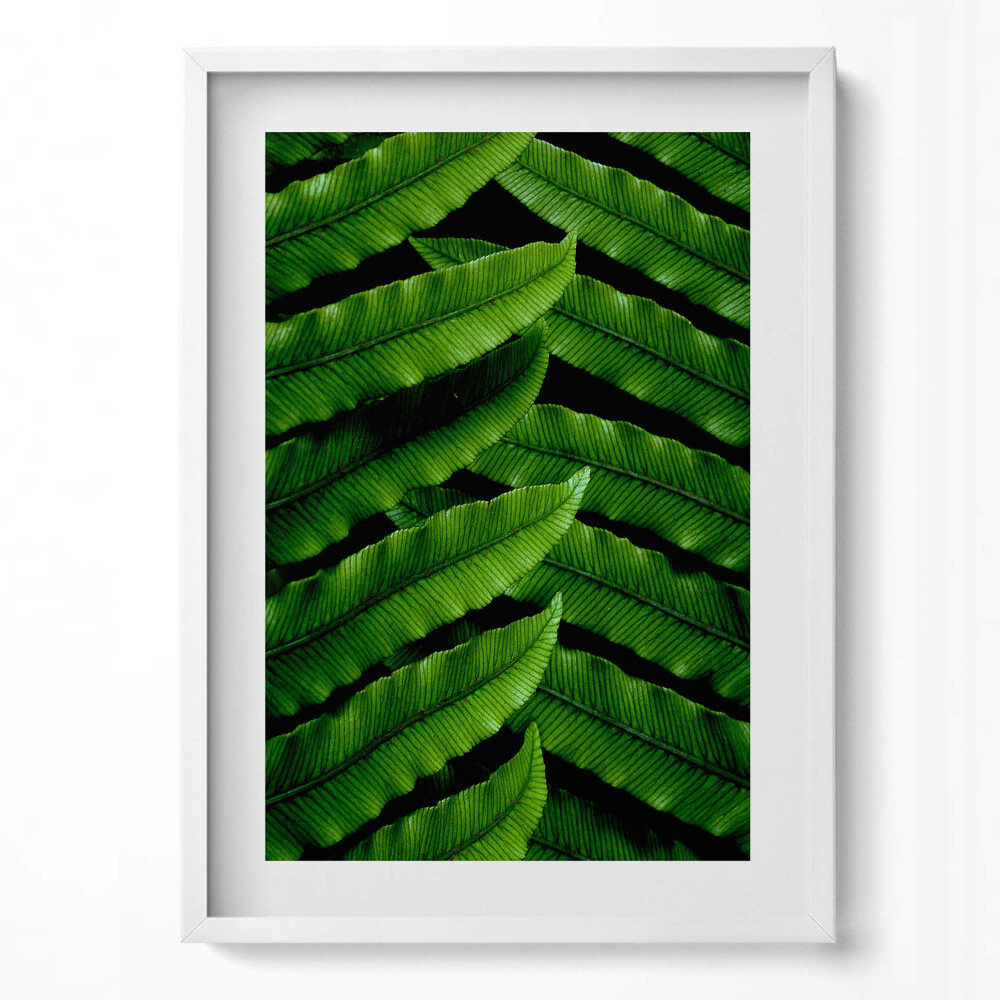 Obraz v rámu dekorativní Detailní záběr na zelené listy