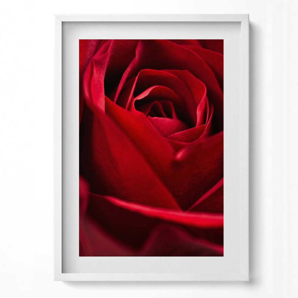 Obraz v rámu dekorativní Detail červených růží